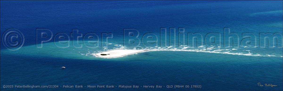 Peter Bellingham Photography Pelican Bank - Moon Point Bank - Platypus Bay - Hervey Bay - QLD (PBH4 00 17852)